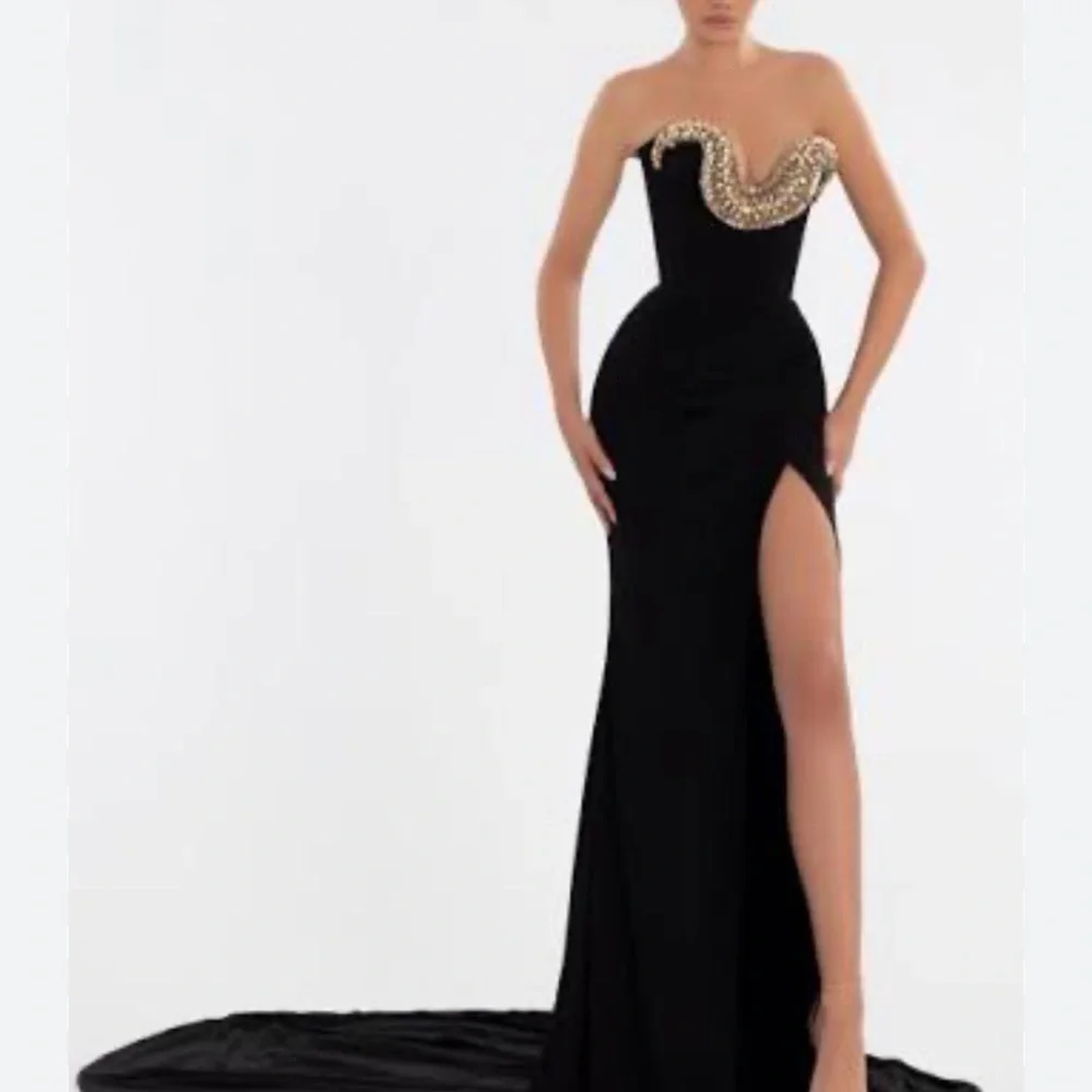 Albina Dyla Dress with Gold Embellishment - Picture 2 of 3